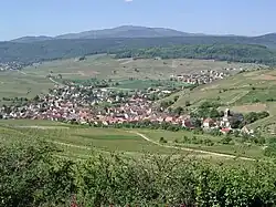 A general view of Westhalten