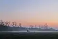 The Drongengoedbos&nbsp;[nl] at dawn