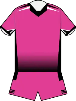 Pink Panthers (2013-2015)