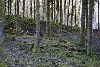 The slag heap