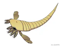 Hoplitaspis hiawathai