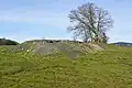 Guilloux shaft slag heap.