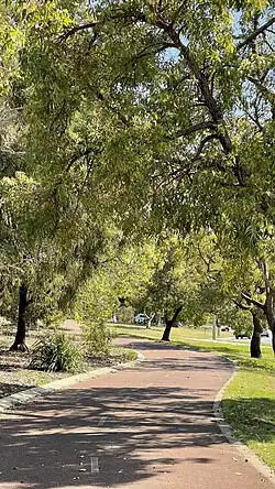 Murdoch Drive shared path