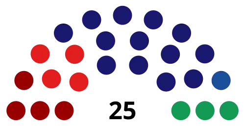 2025CouncilMakeup