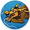 21 squadron