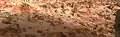 Viking 2 lander Camera 1 FROST HIGH RESOLUTION (With Low Resolution Color) Sol 959 14:39