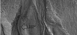 Close-up of gullies, as seen by HiRISE under HiWish program. Streamlined features in the channels are suggestive of a formation by running water. Location is Diacria quadrangle.