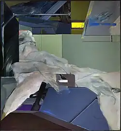 Escalator (1977)