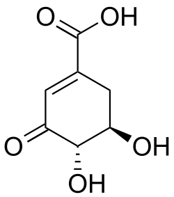 2D representation of the chemical structure of 3-Dehydroshikimic acid.