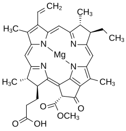 2D representation of the chemical structure of Q27144788.