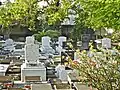Bridgetown Synagogue Cemetery
