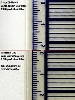 Top: taken with a full-frame (35&nbsp;mm) sensor digital SLR camera and a 100&nbsp;mm macro lens at 1:1 magnification; Bottom: taken with a Micro Four Thirds (2× crop) sensor camera and a 50&nbsp;mm macro lens at 1:2 magnification.
