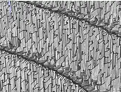 Detailed view at very high magnification. Wall thickness of the vertical structures is about 10&nbsp;μm.
