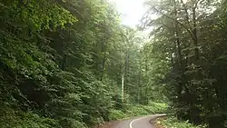Forests near the village of Sang Deh