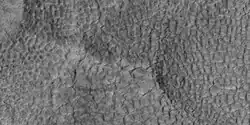 High and low center polygons, as seen by HiRISE under HiWish program Location is Casius quadrangle. Image enlarged with HiView.