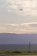 Parachute descending