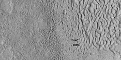 Brain terrain being formed, as seen by HiRISE under HiWish program Note: this is an enlargement of a previous image using HiView. Arrows indicate spots where brain terrain is beginning to form.
