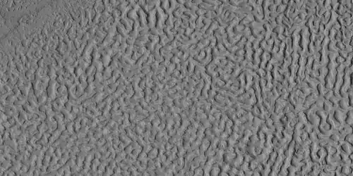 Brain terrain, as seen by HiRISE under HiWish program Location is Ismenius Lacus quadrangle.