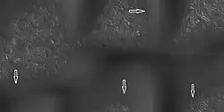 Boulders and tracks, as seen by HiRISE under HiWish program The arrows show a boulders that have produced a track by rolling down dune. Location is Mare Boreum quadrangle.