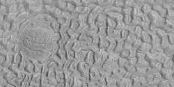 Brain terrain being formed, as seen by HiRISE under HiWish program