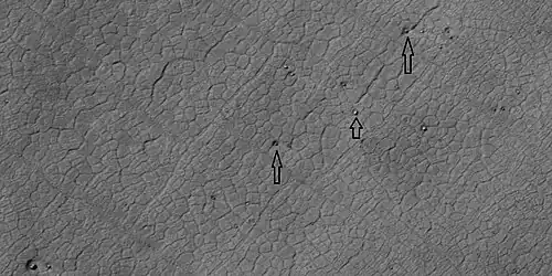Close view of polygons, as seen by HiRISE under HiWish program Arrow point to boulders that sit inside of small craters.