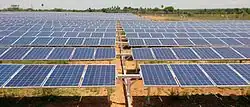 Many solar panels arranged horizontally at ground level