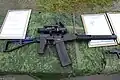 An ASM with a 30-round magazine