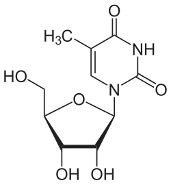 Chemical structure of 5-methyluridine
