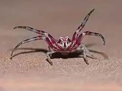 Front view