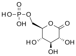 2D representation of the chemical structure of Q245503.