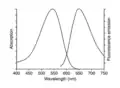 Absorptions