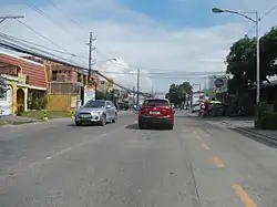 Aguirre Avenue in BF Homes