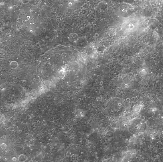 A ray from Hokusai crater far to the north crosses Aśvaghoṣa