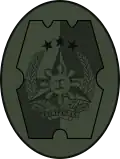 AFP Shoulder Sleeve Insignia (worn in all authorized Battle Dress Uniforms of all major branches of service in the AFP)