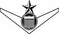 Cadet Senior Pilot Badge