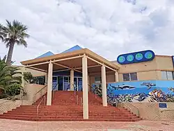 Image of the entrance to the AQWA, covered red brick stairs leading up to a cream brick building with a panted mural of ocean animals along its side.