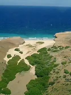 Daimari Bay