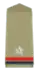 Assistant Sub inspector Rank Officer of Indian police