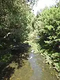 Kedron Brook looking downstream, Kalinga Park, Kalinga (2021)