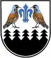 Coat of arms of Kohlschwarz