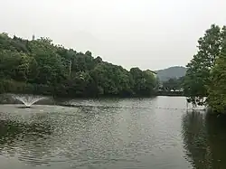 A pond in Guangming Butterfly Valley of Guangming Village.