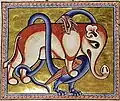 Folio 65 Verso - Dragon (detail)