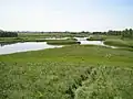 Wetlands
