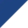 Adamson school colors
