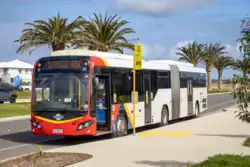 Torrens Transit Custom Coaches bodied Scania K320UA in August 2023