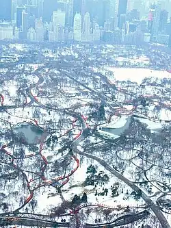 Aerial view of Central Park