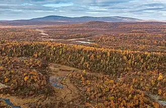 An uninterrupted forest of deciduous trees, preparing to drop leaves, among rolling hills and low marshlands. Overcast skies with a mountain range in the distant horizon.