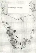 Distribution of A.&nbsp;odorata in Tasmania.[14] Darker dots represent higher concentration of specimens.