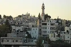 Aida Camp in 2010