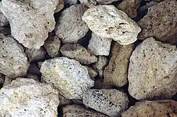 Airfall rhyolitic pumice from the c. 1080 eruption of the Medicine Lake volcano's Glass Mountain vent